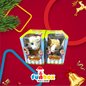 My Fluffy Friends – Colorful Puppy Pals for Ages 3+!